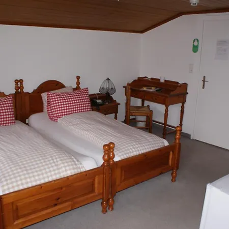 Мини-отель Baeren Hotel, The Bear 3*