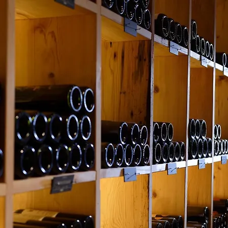 Baeren Hotel, The Bear Mini-hôtel Wilderswil