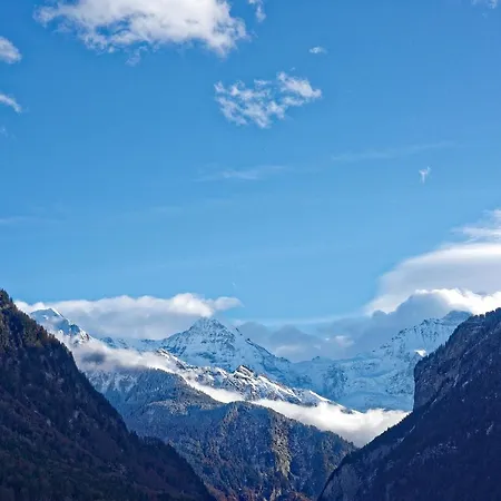 Mini-hôtel Baeren Hotel, The Bear 3*