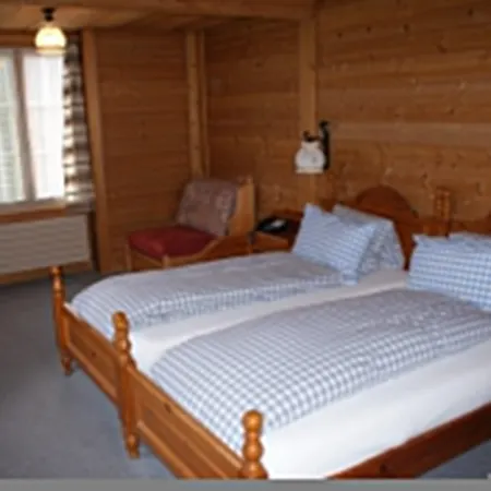 Мини-отель Baeren Hotel, The Bear 3*