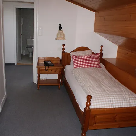 Mini-hôtel Baeren Hotel, The Bear
