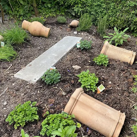 Baeren Hotel, The Bear Värdshus 3*