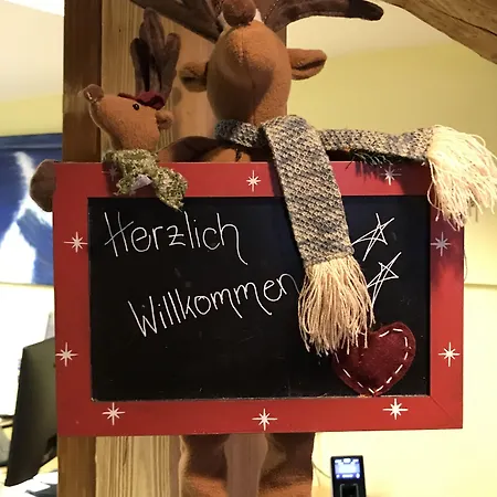 Baeren Hotel, The Bear Herberg Wilderswil