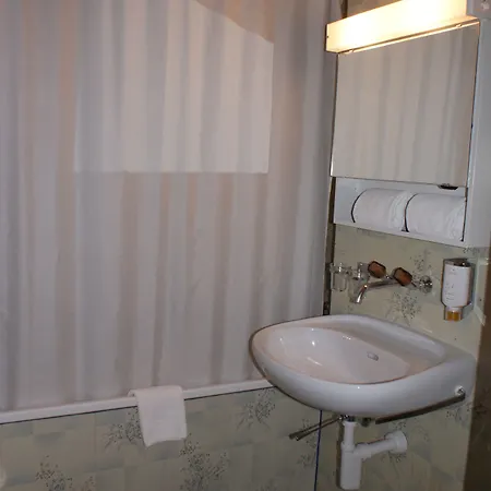 Mini-hôtel Baeren Hotel, The Bear 3*