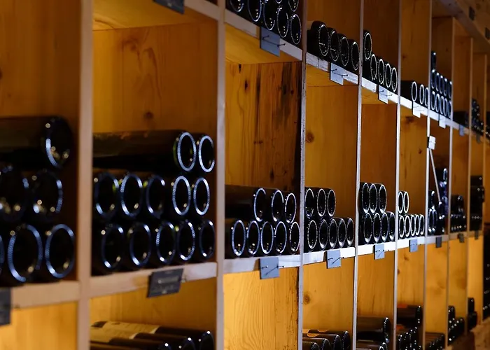 Baeren Hotel, The Bear Inn Wilderswil