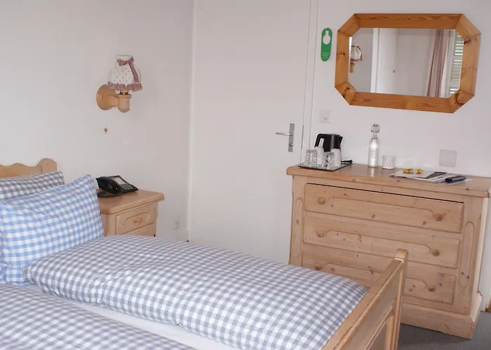 Gasthof Baeren Hotel, The Bear Wilderswil