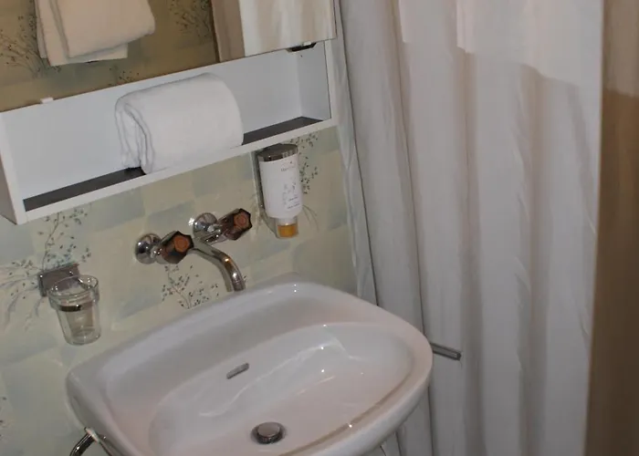 Inn Baeren Hotel, The Bear