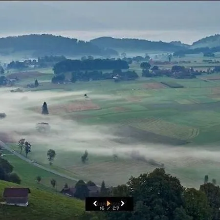 ベアレン ザ ベア イン 3*