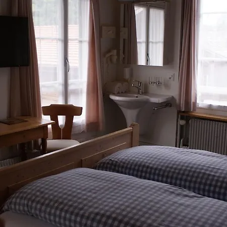 Inn Baeren Hotel, The Bear Wilderswil