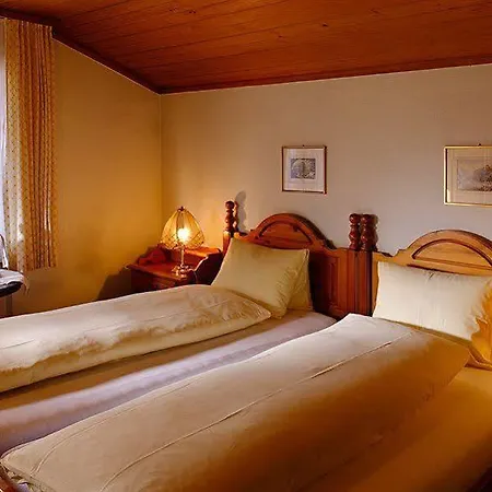 Han/Misafirhane Baeren Hotel, The Bear Wilderswil