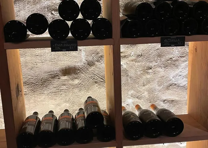 Kro Baeren Hotel, The Bear Wilderswil